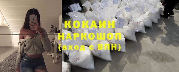 гидропоника Гусиноозёрск