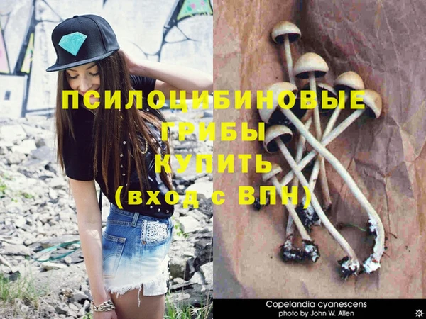 мдпв Горняк