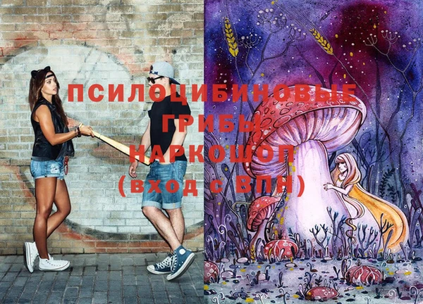 крисы Горнозаводск